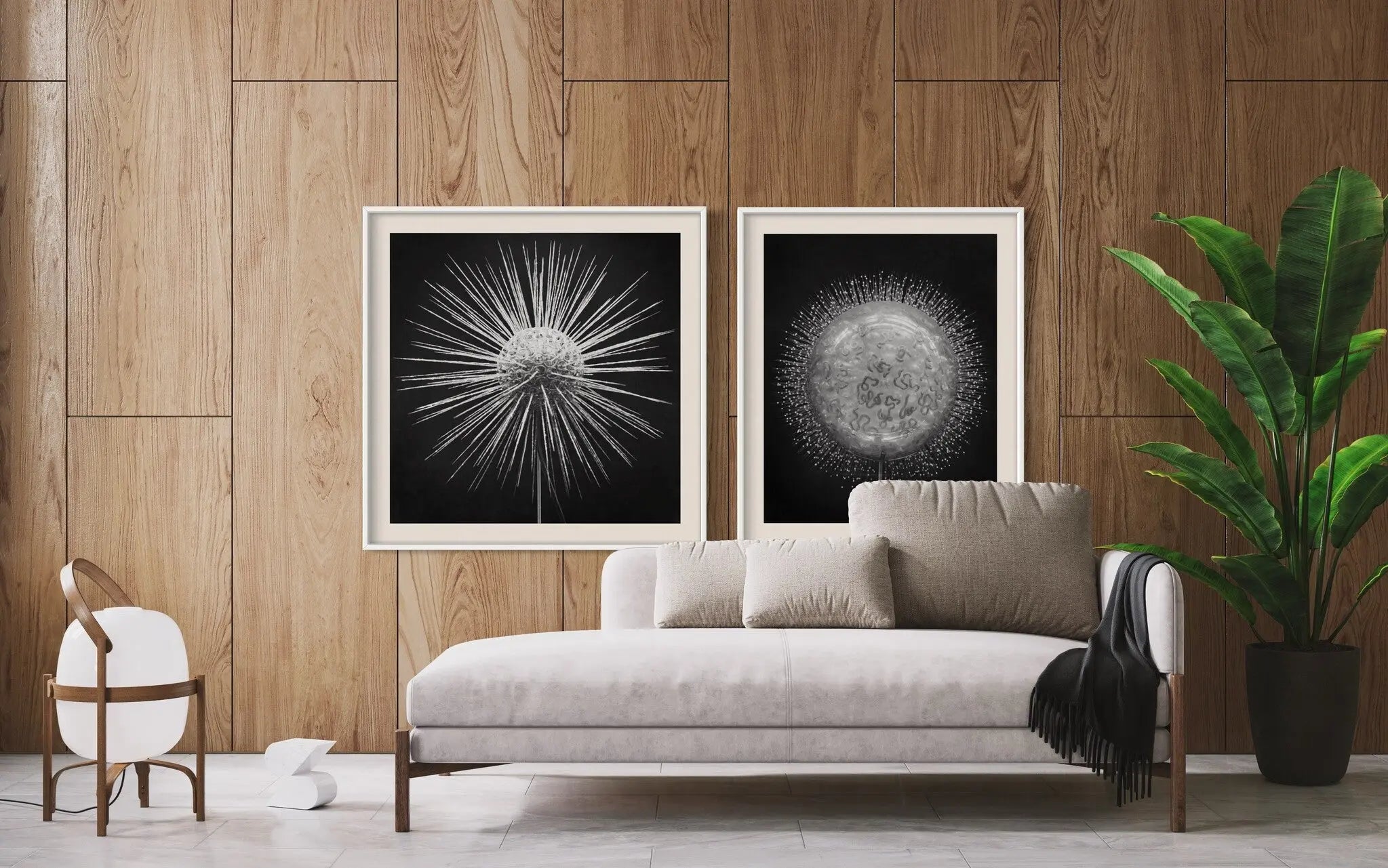 Clathrulina Elegans by Paul Thompson hanging in a sophisticated office space