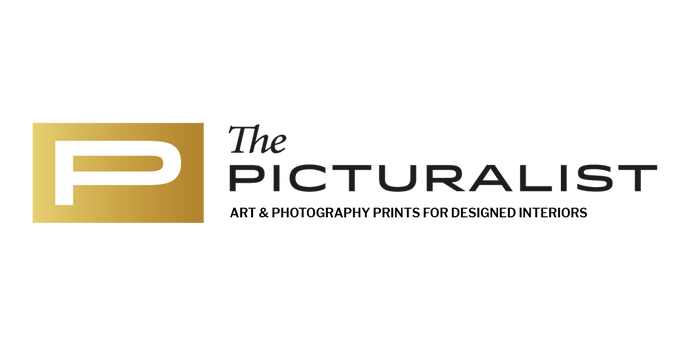 Thepicturalist.com