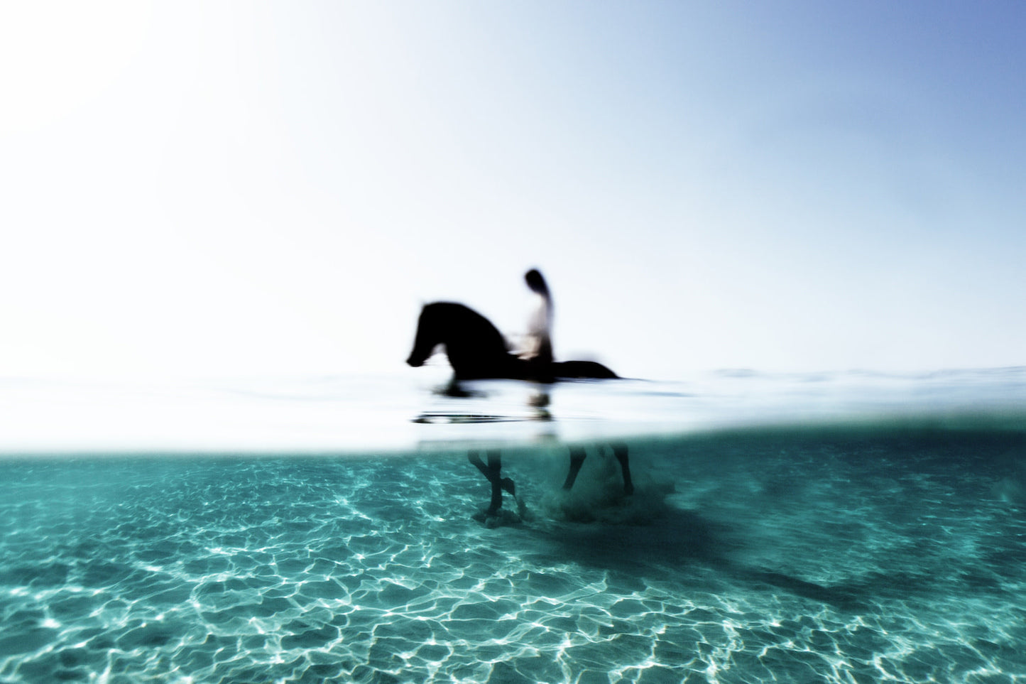 141026-6858 Swimming with a horse in the Mediterranean Sea copy