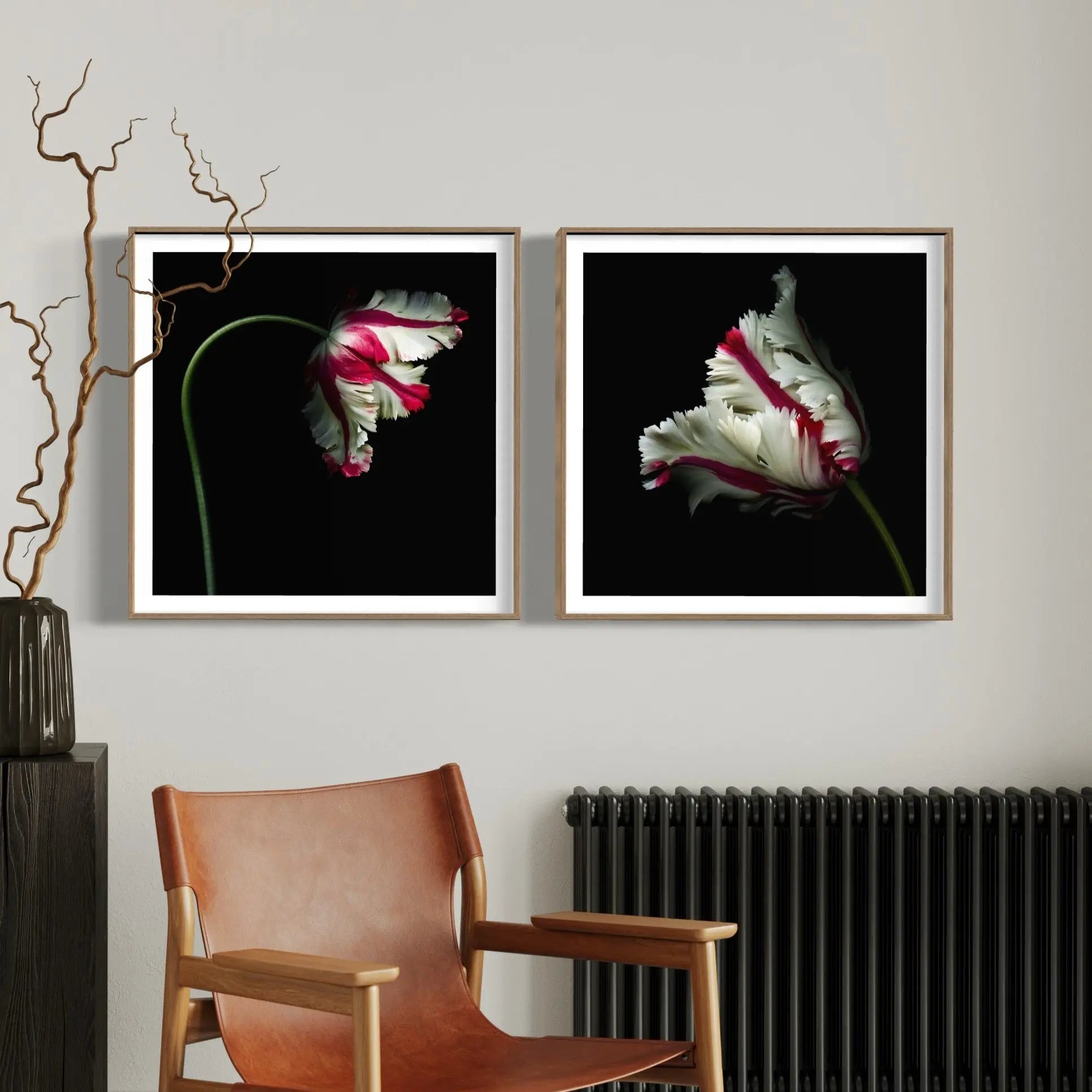 White and Red Parrot Tulip on Black by OGphoto styled in a contemporary interior setting