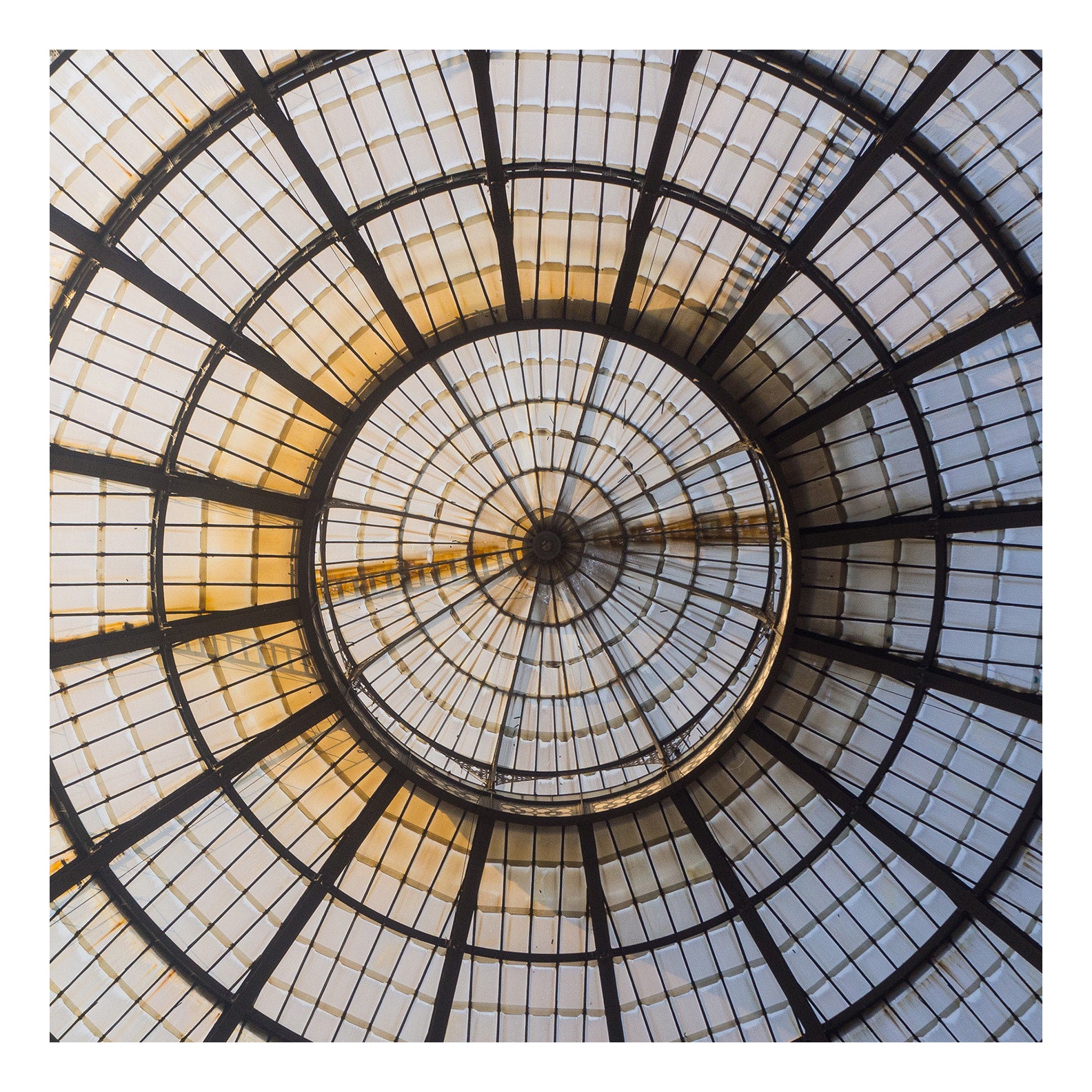 20x20_josh-shaw-644214-unsplash