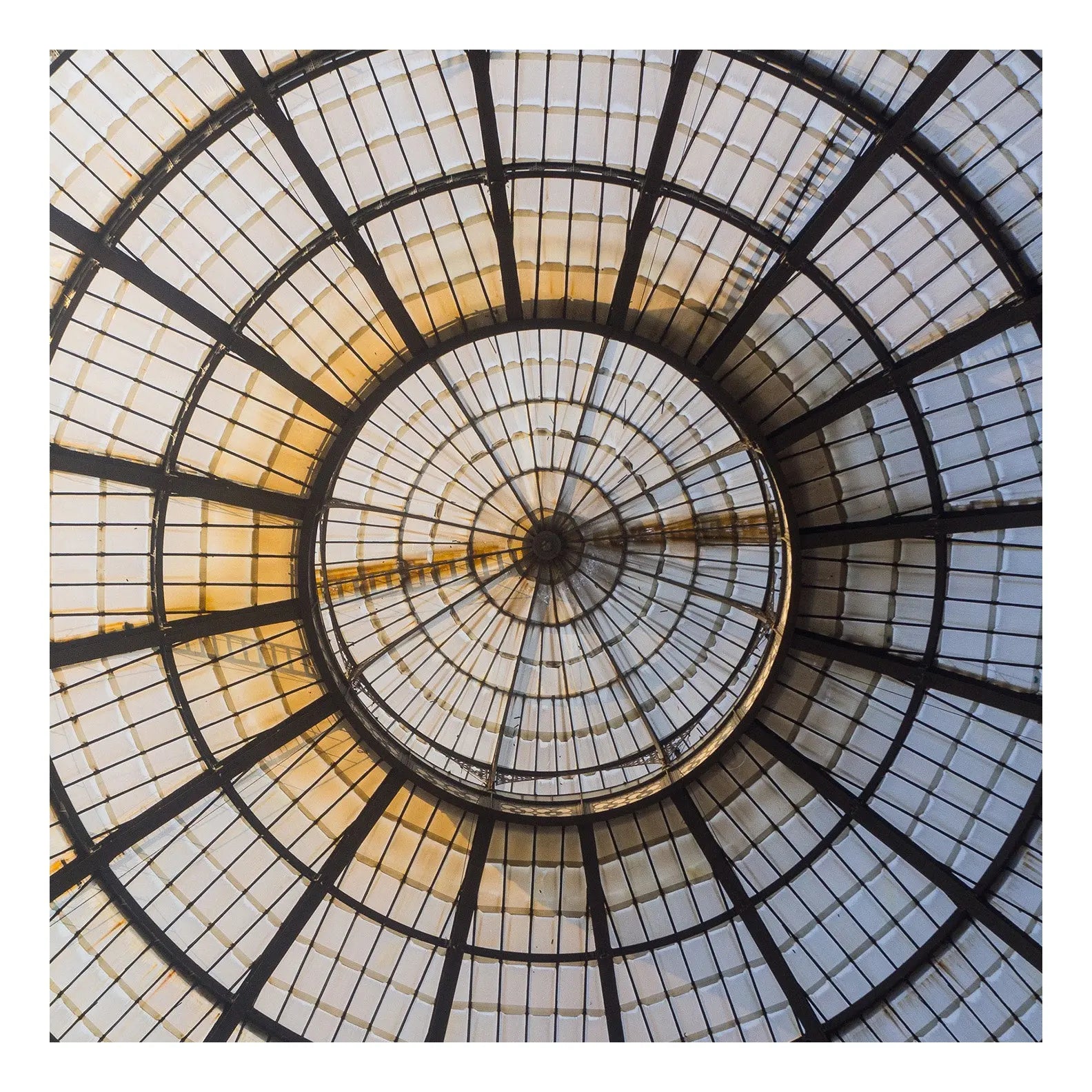 Glass Dome, fine art paper print, The Picturalist