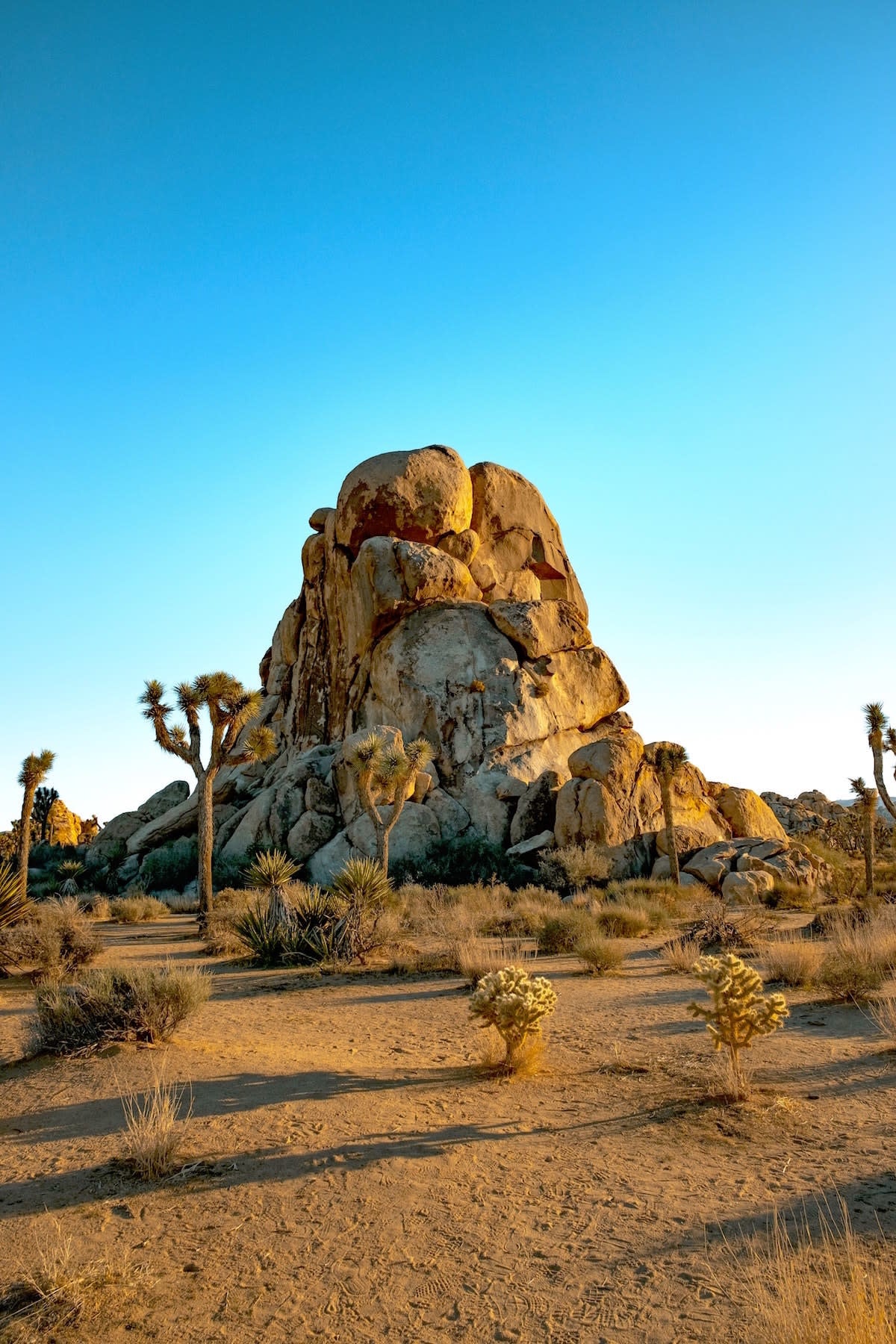 40 x 60 alessandro-rossi-FZlXXz5vlSs-unsplash copy