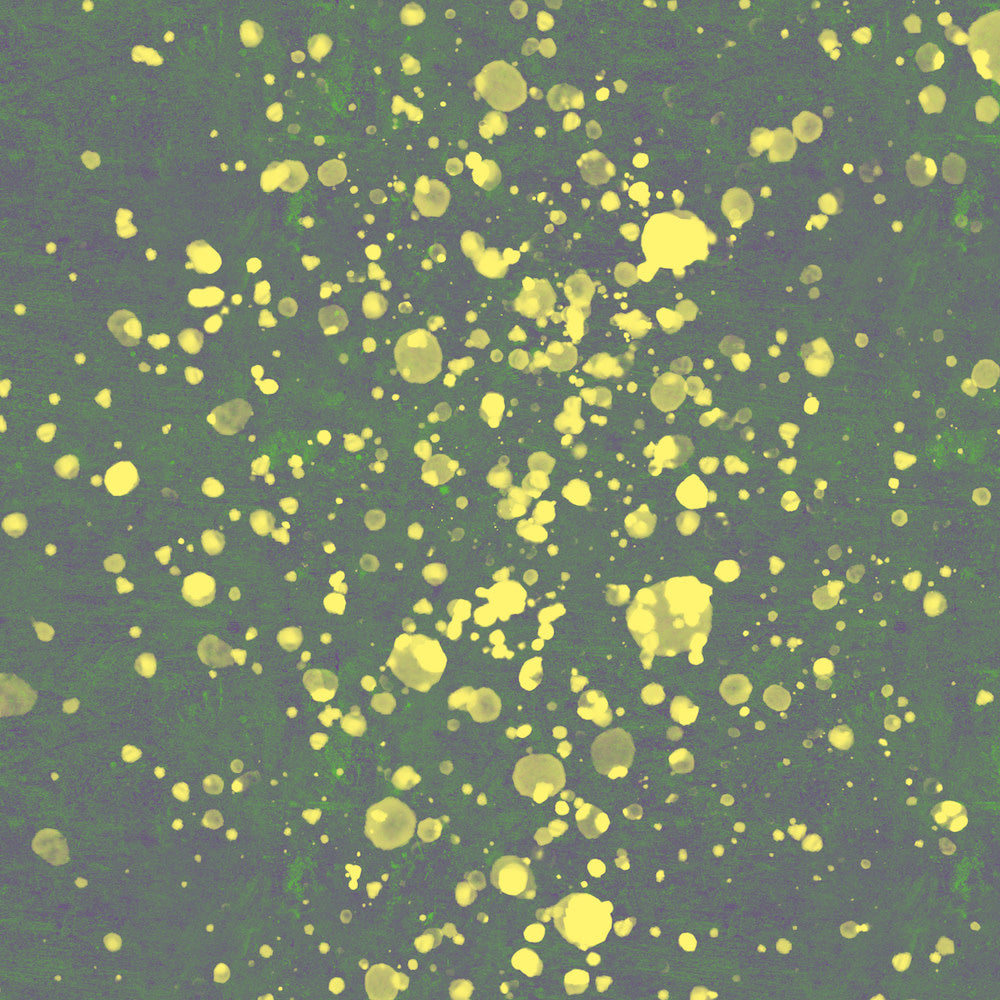 40x40_carnaval_the_picturalist_wall_art