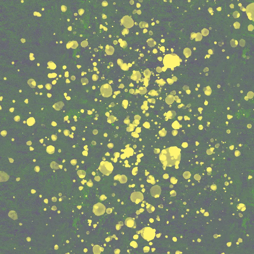 Space Dust by Francesco Alessandrini, canvas print, The Picturalist