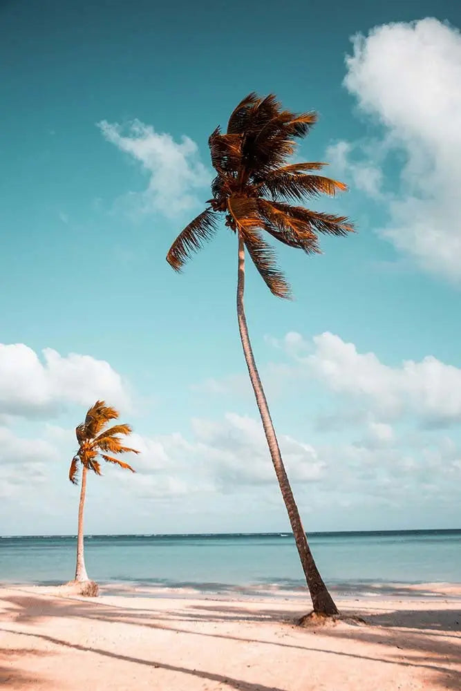 Summer Breeze by B. Voros, fine art paper print, The Picturalist