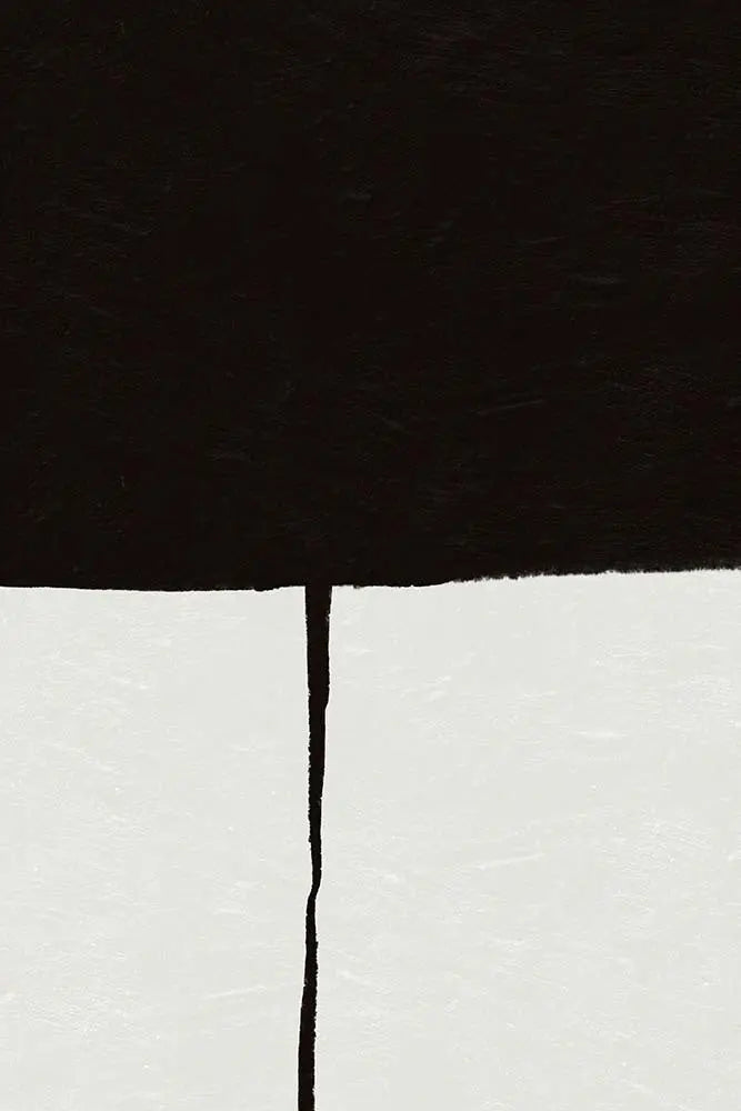 A Crack in Everything by Alejandro Franseschini, canvas print, The Picturalist