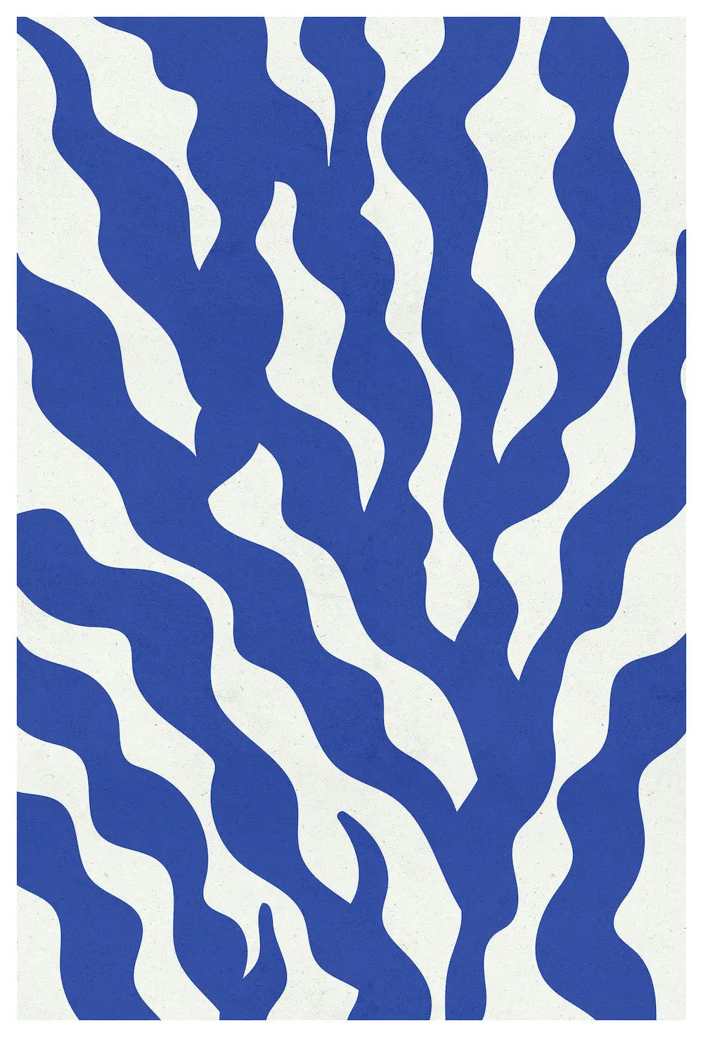 Sea Flora 1 by Alejandro Franseschini, fine art paper print, The Picturalist