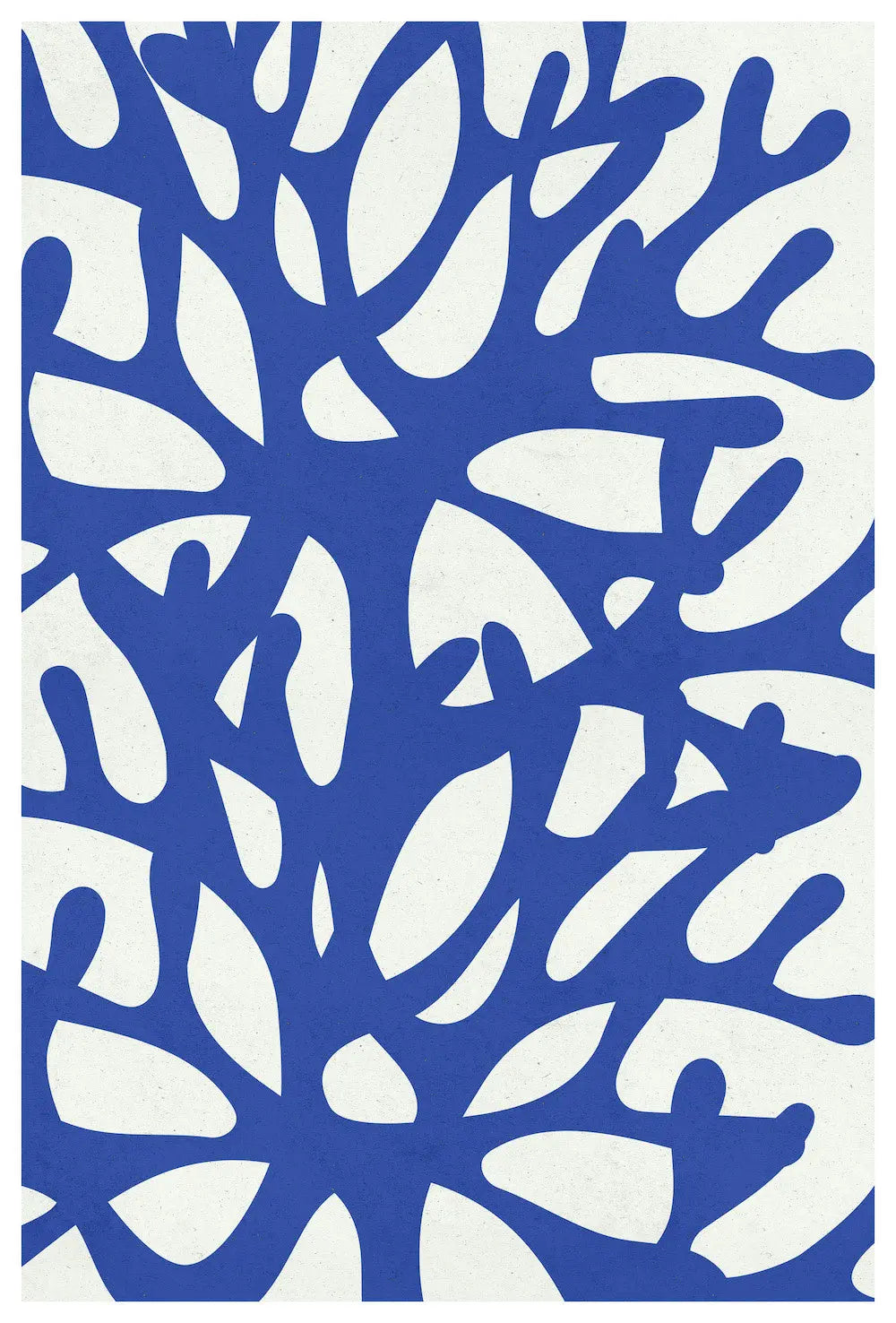 Sea Flora 2 by Alejandro Franseschini, fine art paper print, The Picturalist