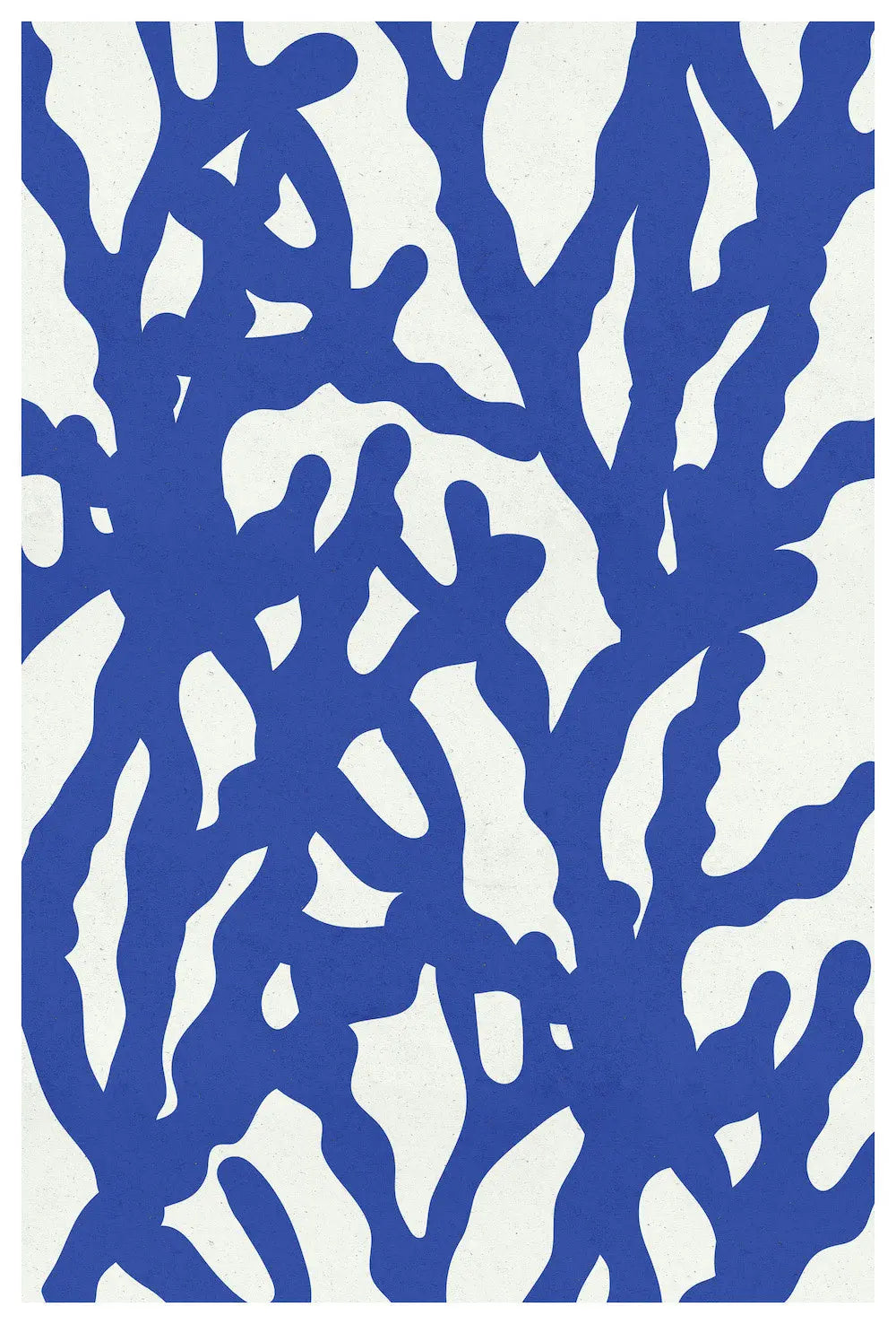 Sea Flora 3 by Alejandro Franseschini, fine art paper print, The Picturalist