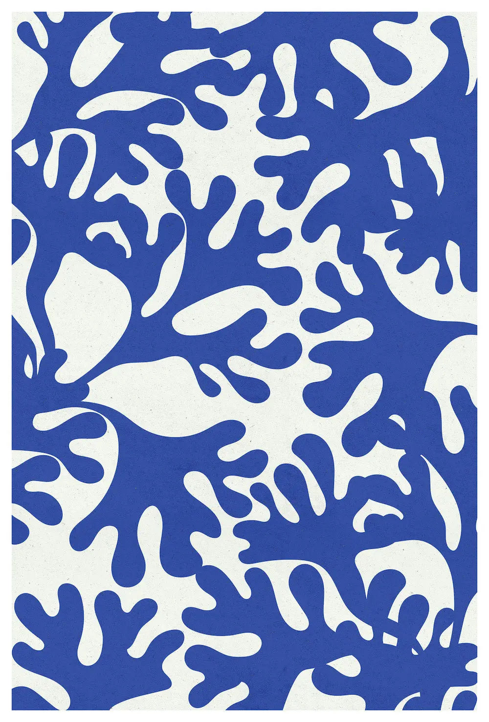 Sea Flora 4 by Alejandro Franseschini, fine art paper print, The Picturalist