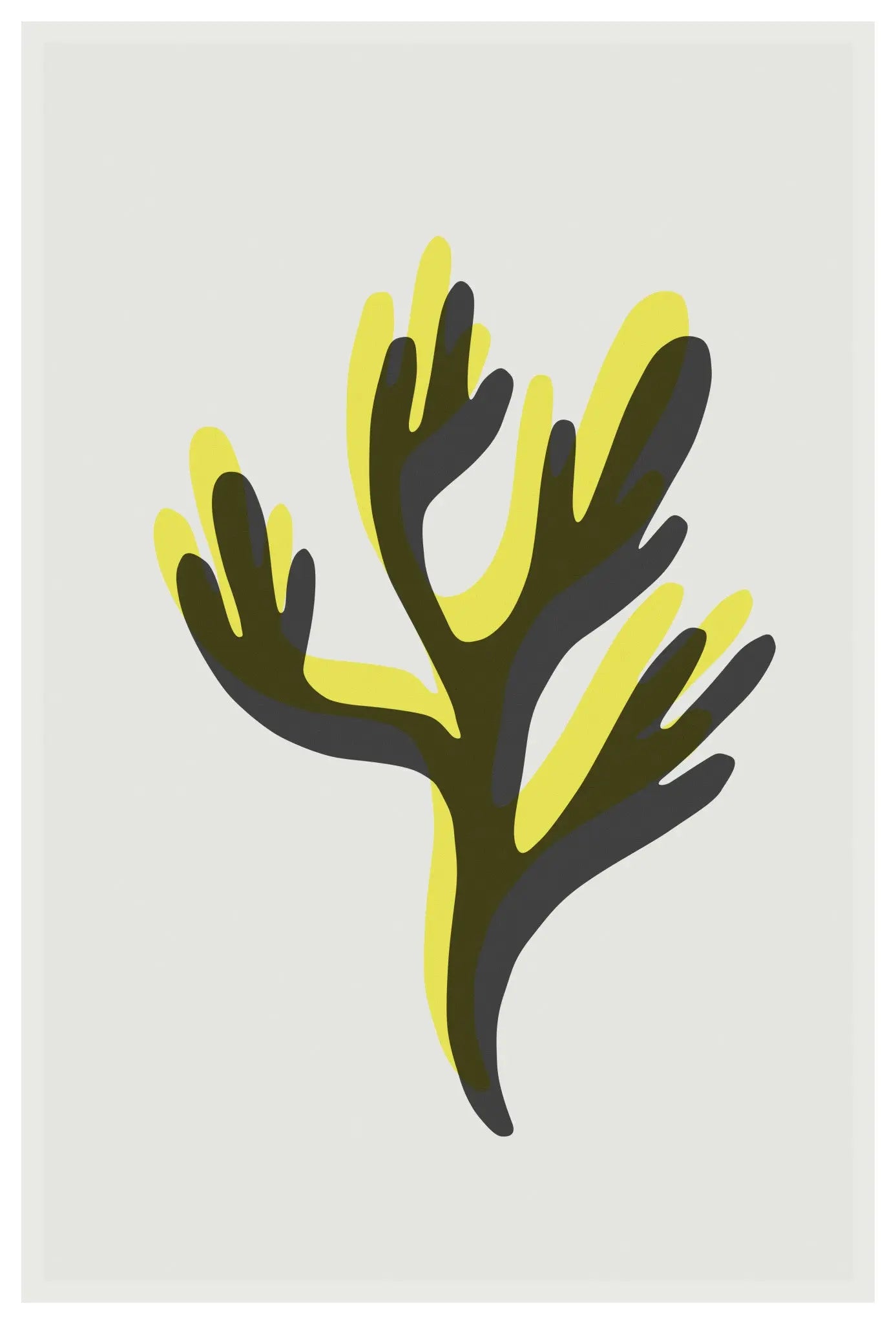 Coral in Amber and Yellow by Alejandro Franseschini, metal print, The Picturalist