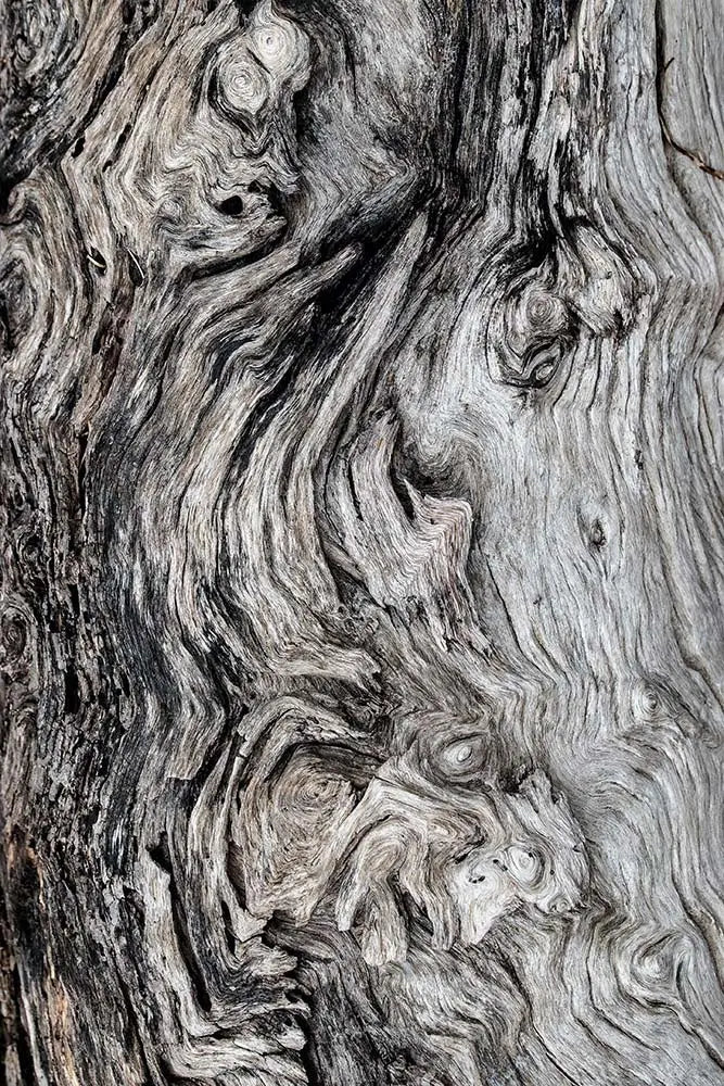 Berkano 3 by D. Cole, fine art paper print, The Picturalist