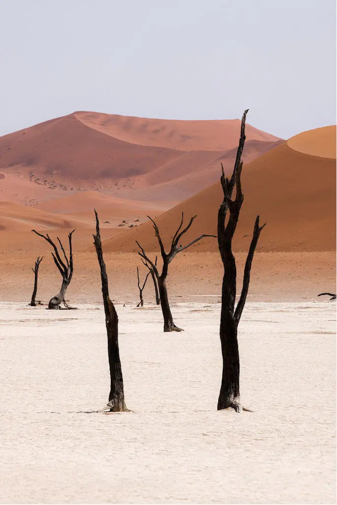 Desert Landscape by A. Francis, fine art paper print, The Picturalist