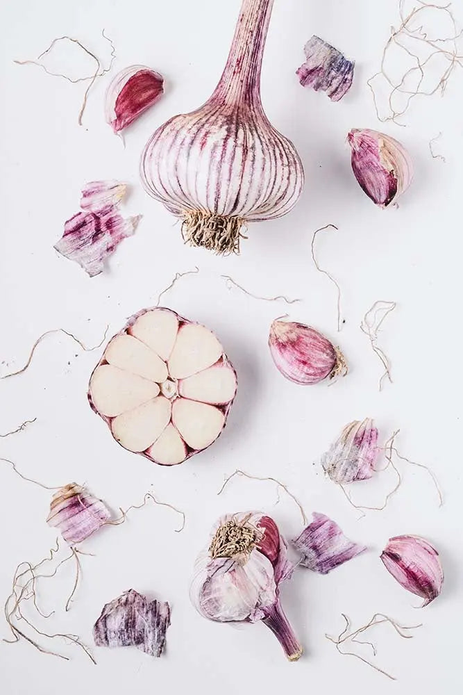 Garlic Deconstructed by Jed Gordon-Moran, fine art paper print, The Picturalist