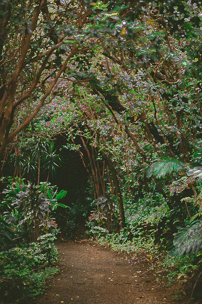 40x60_ghost_crusing_the_picturalist_wll_art_web