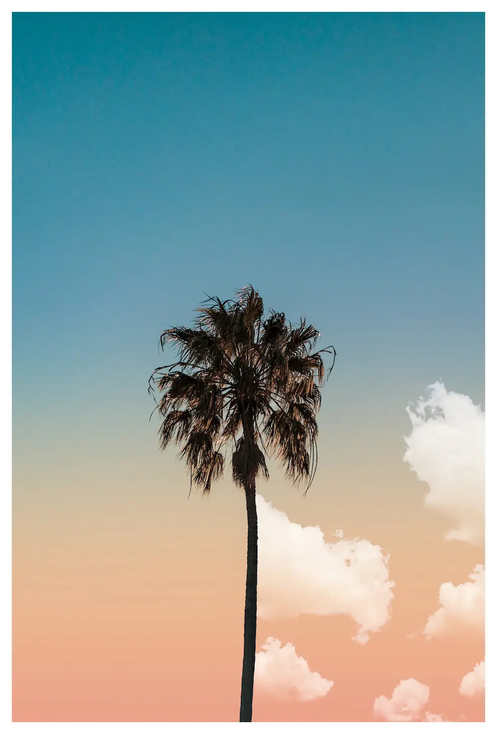 Variation On A Subject by Francesco Alessandrini, fine art paper print, The Picturalist