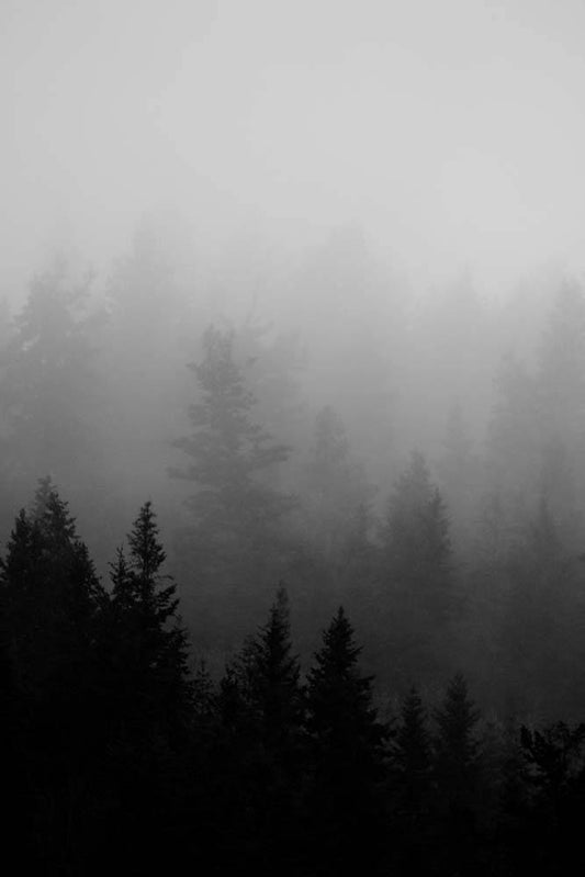 40x60_patrick-hendry-662467-unsplash_web