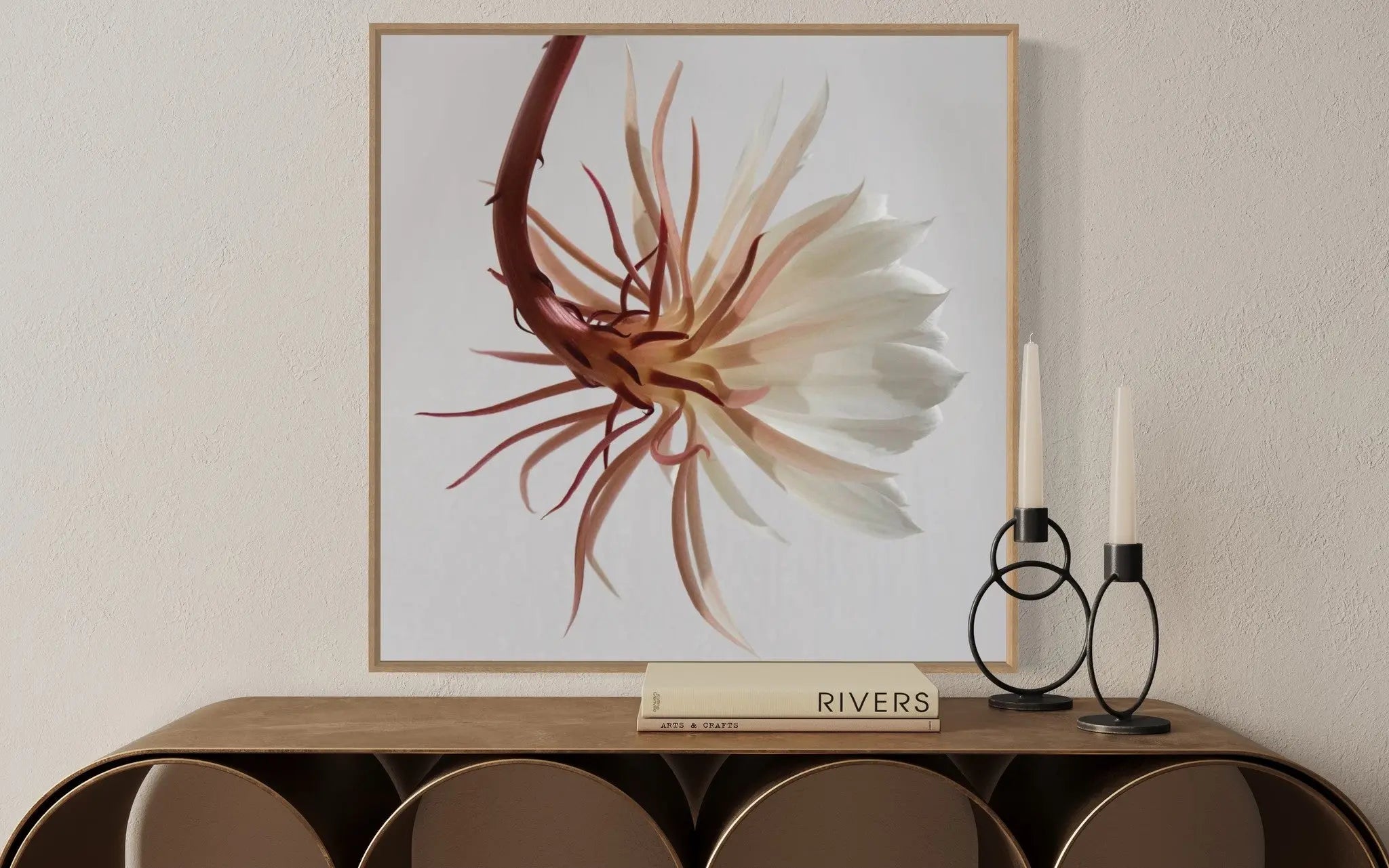 Delicate featured in an elegant interior space