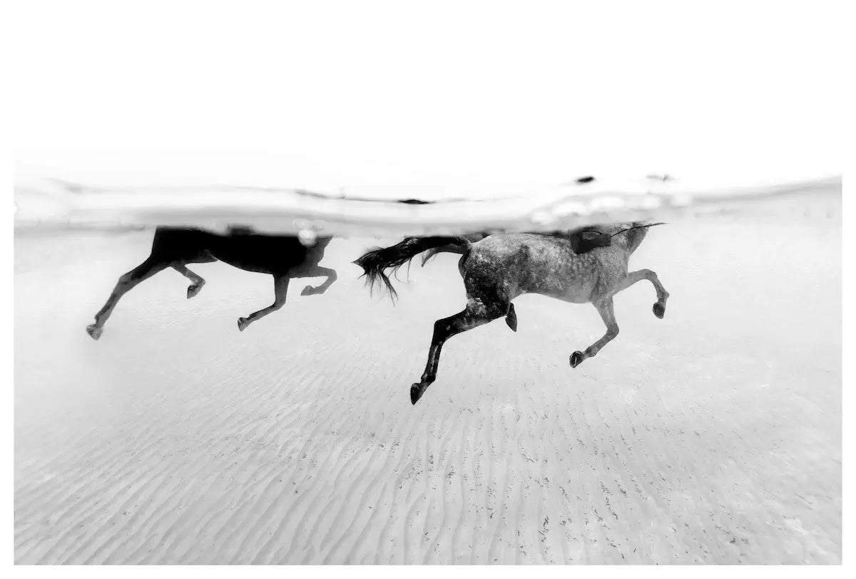 One Step to the Sea by Enric Gener, fine art print, The Picturalist