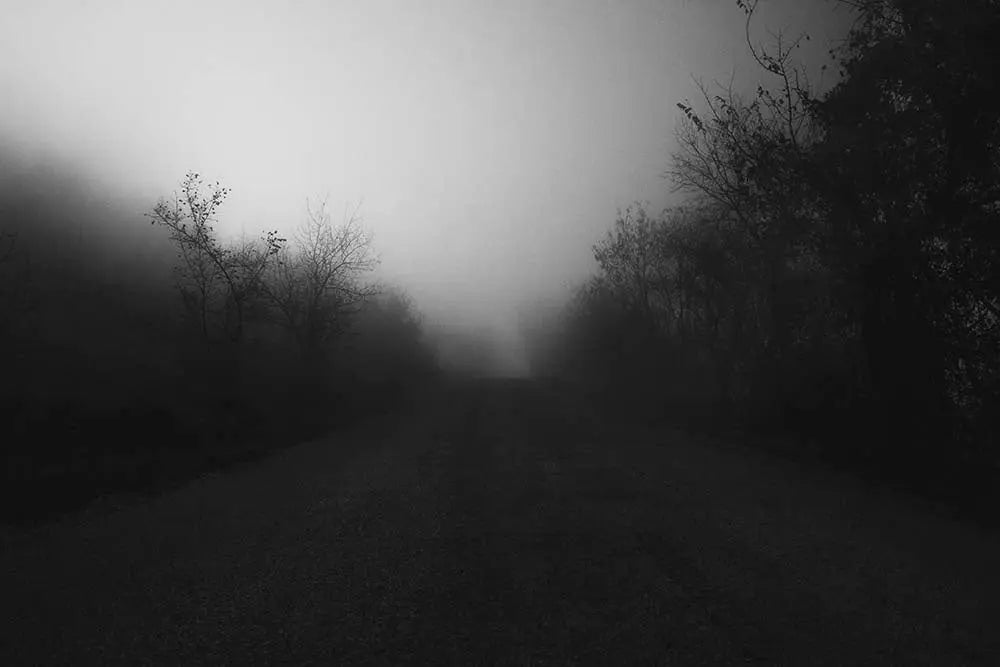 Tomorrow at Dawn by T. Dzingharoff, fine art paper print, The Picturalist