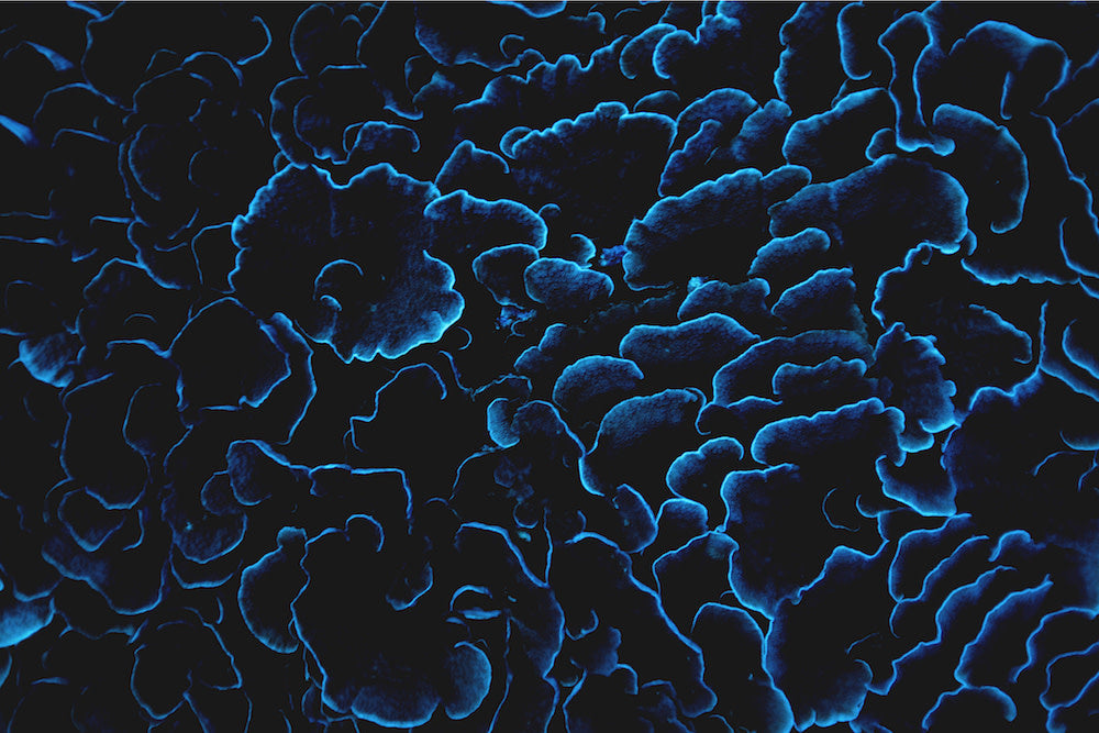 60x40_enric_gener_210220-9C1A9409c_the_picturalis_wall_art