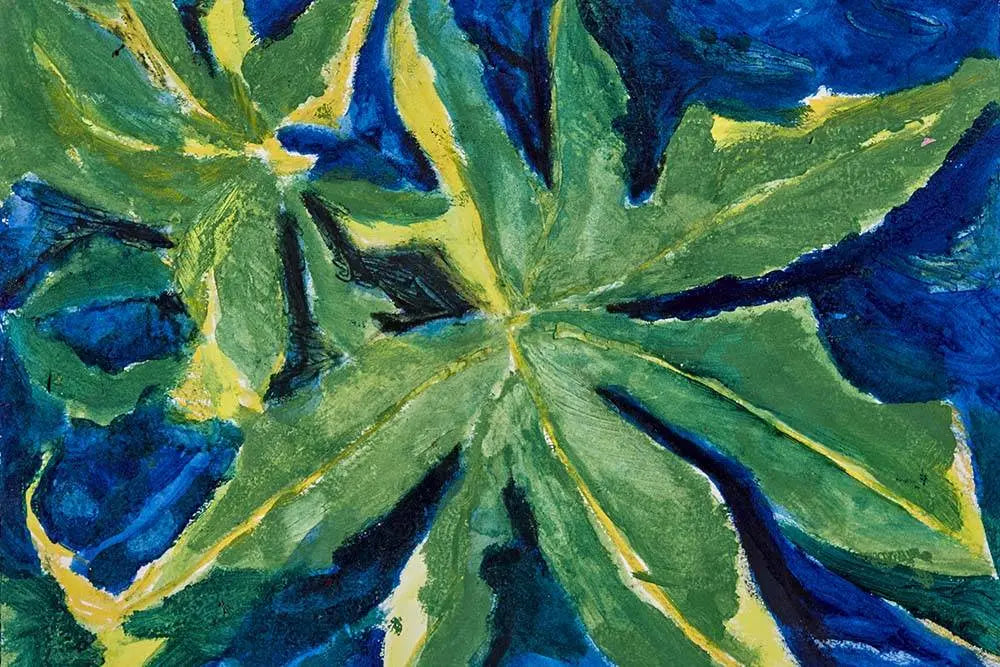 Nature Studies 2 by Evelyn Ogly, canvas print, The Picturalist