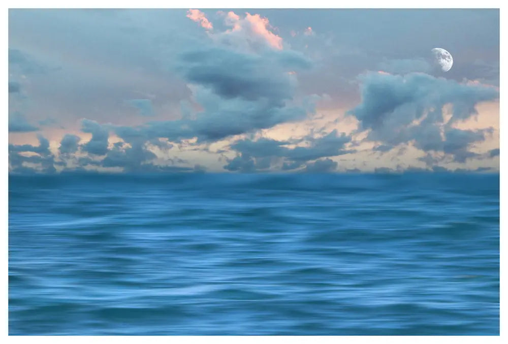 Paralian by Karen Thom, fine art paper print, The Picturalist