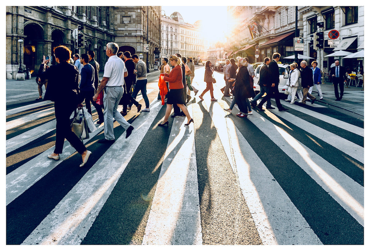 60x40_Photo 2022-08-16, 3 36 26 PM_the_picturalist_wall_art