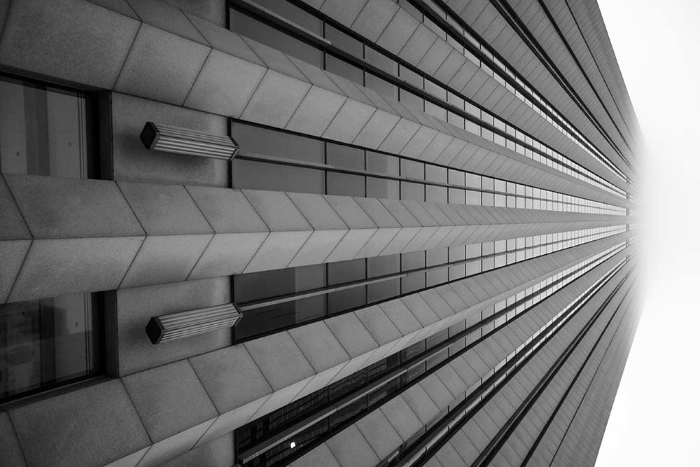 Always Look Up by Ugo Shirvanian, fine art paper print, The Picturalist