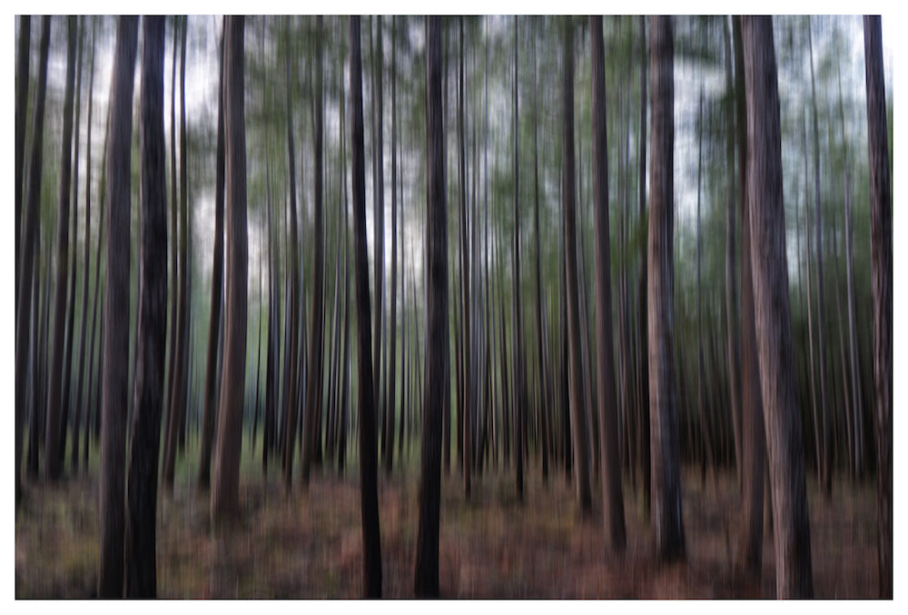 60x40_Protect Your Peace 9657_the_picturalist_wall_art