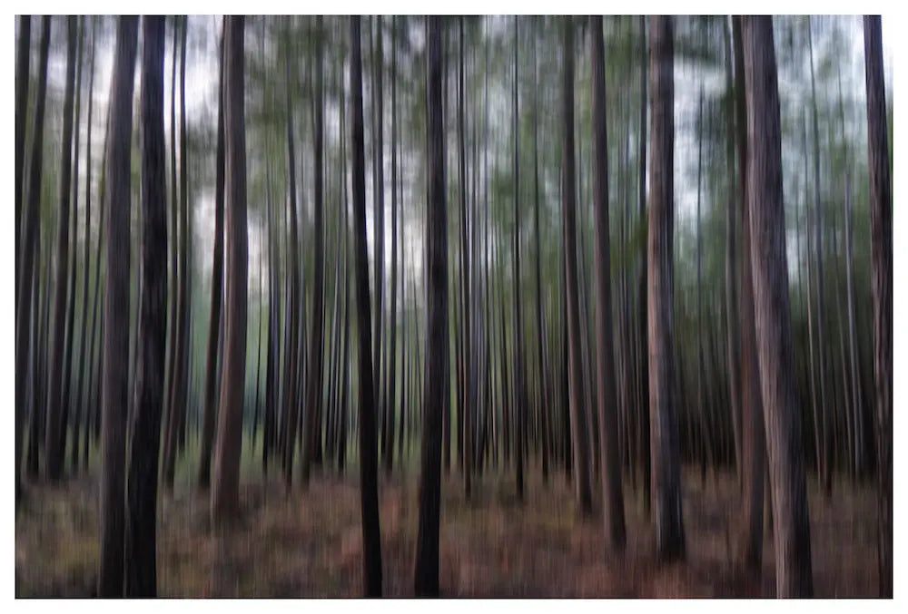 Protect Your Peace by Karen Thom, fine art paper print, The Picturalist