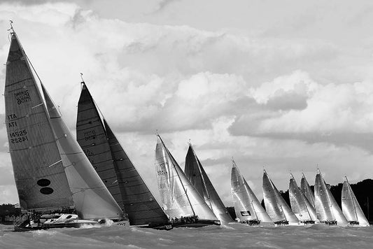 60x40_Swan 45's on the line_web