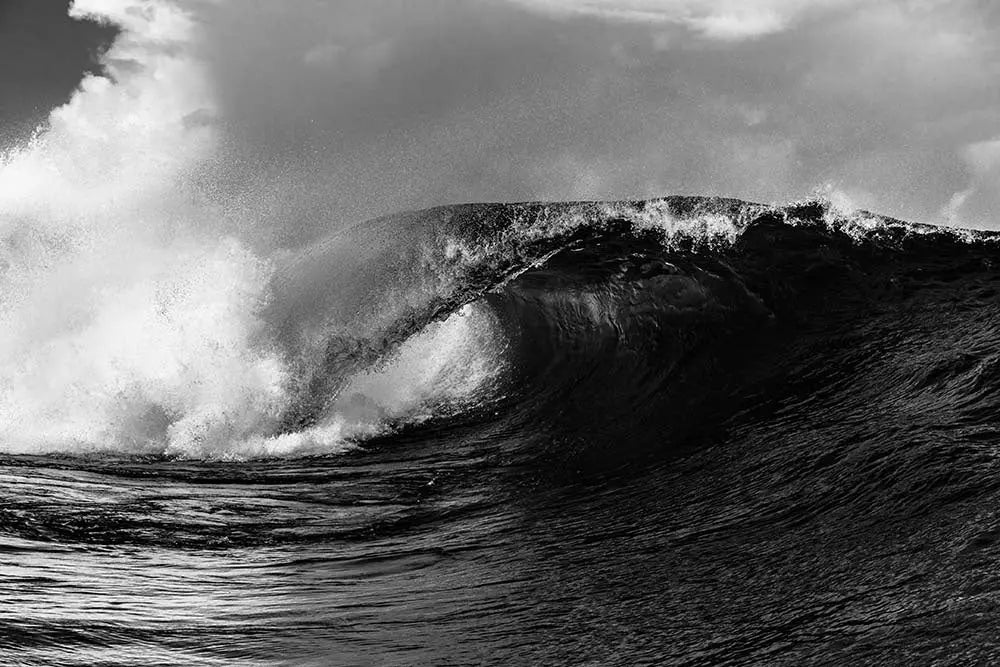 Wave by Stephan Debelle displayed in a modern living room interior