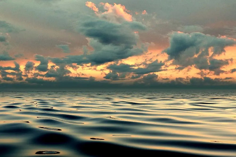 You, The Ocean & Me by Karen Thom, fine art paper print, The Picturalist