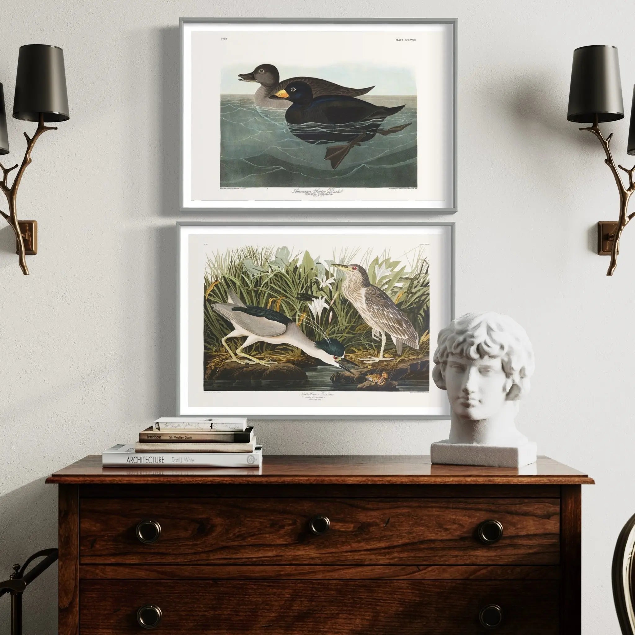 Night Heron by John James Audubon showcased in a designer room setting