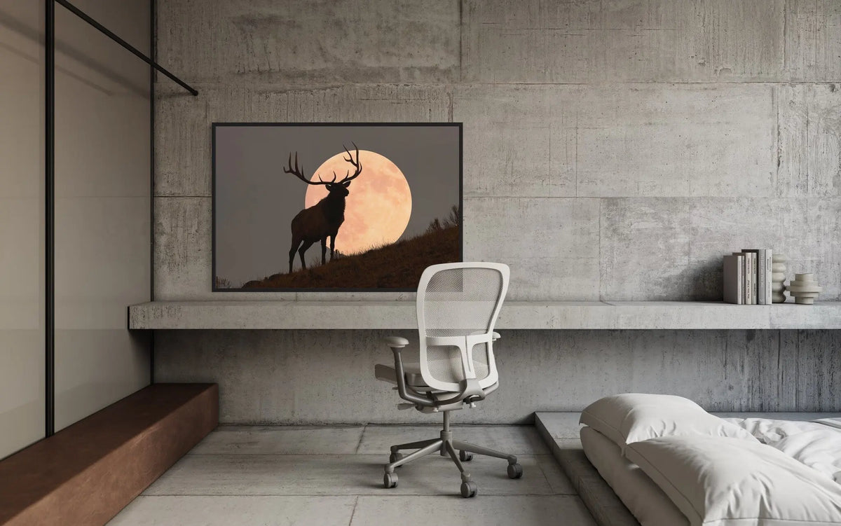 Bull Elk Against Full Moon by Mark Miller presented in a curated interior design