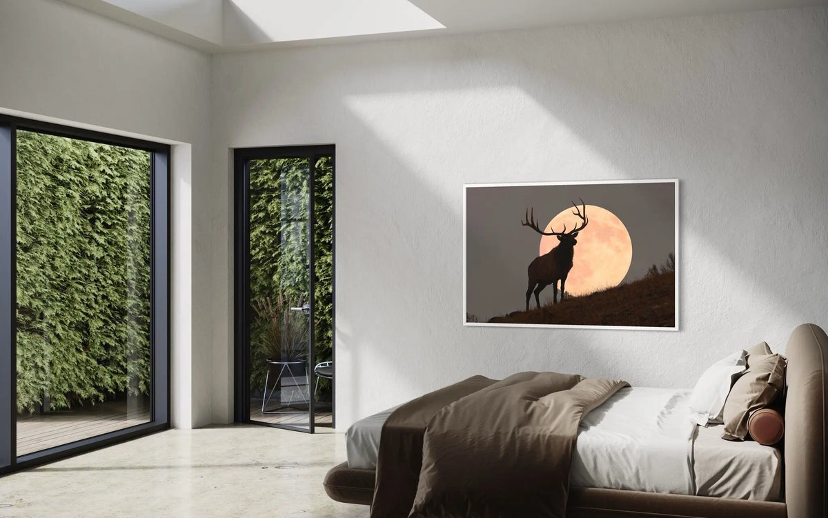 Bull Elk Against Full Moon by Mark Miller showcased in a designer room setting