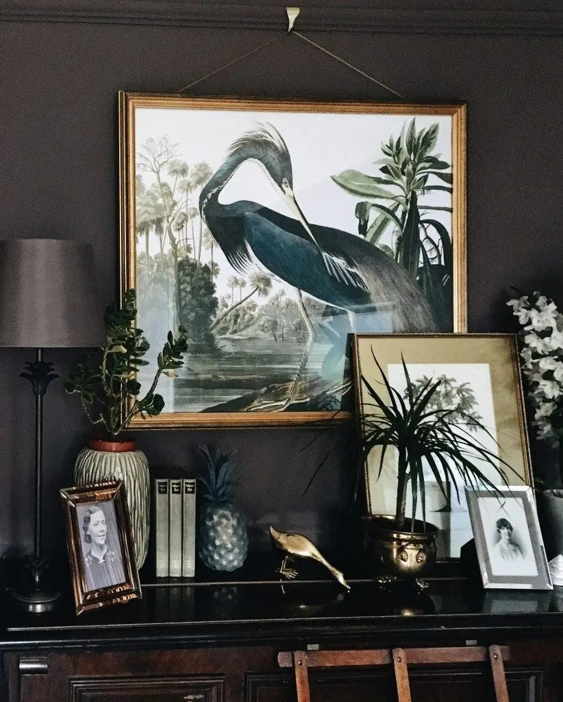 Louisiana Heron by John James Audubon styled in a contemporary interior setting