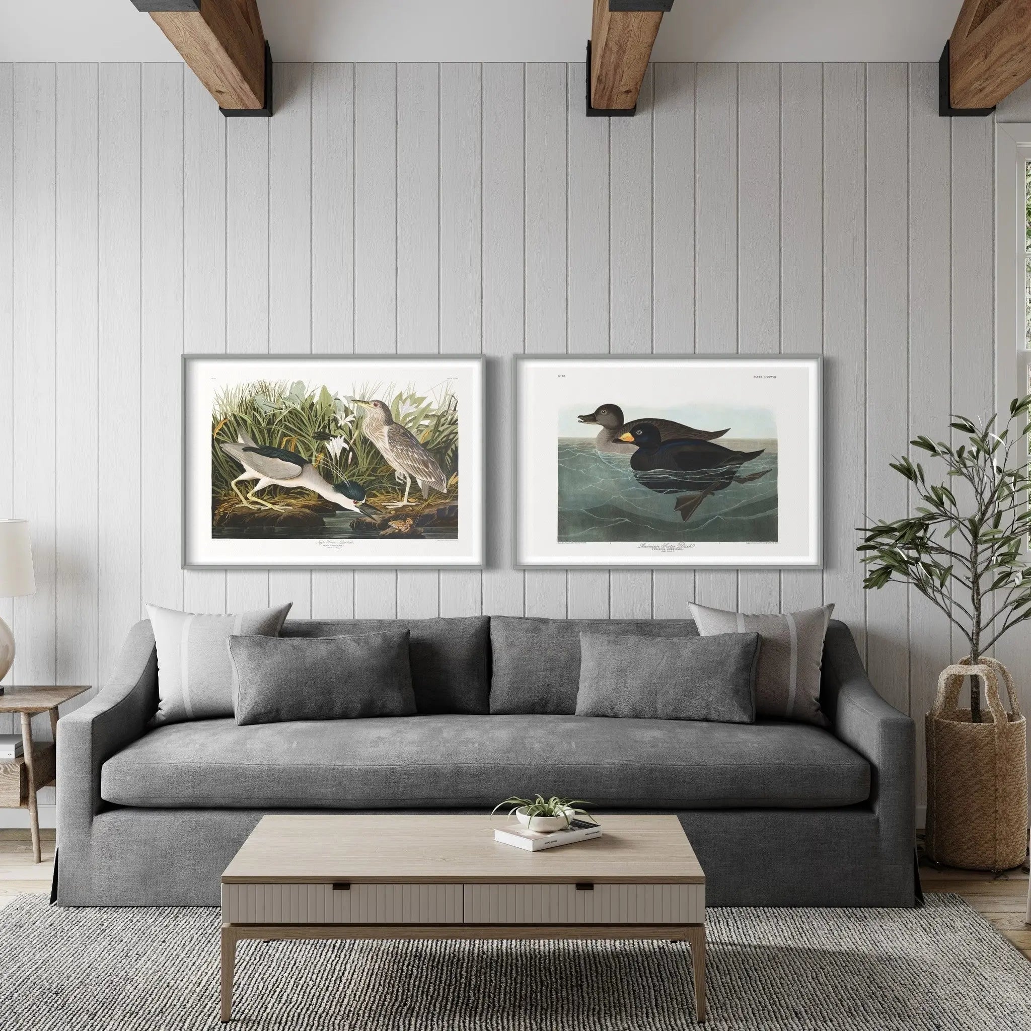 Night Heron by John James Audubon featured in an elegant interior space