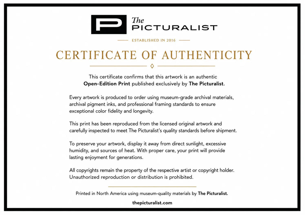 The Picturalist Open Edition Certificate of Authenticity for Oblivion Ii By Evelyn Ogly