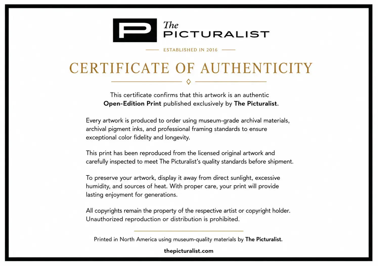 The Picturalist Open Edition Certificate of Authenticity for Stone Carved Dome