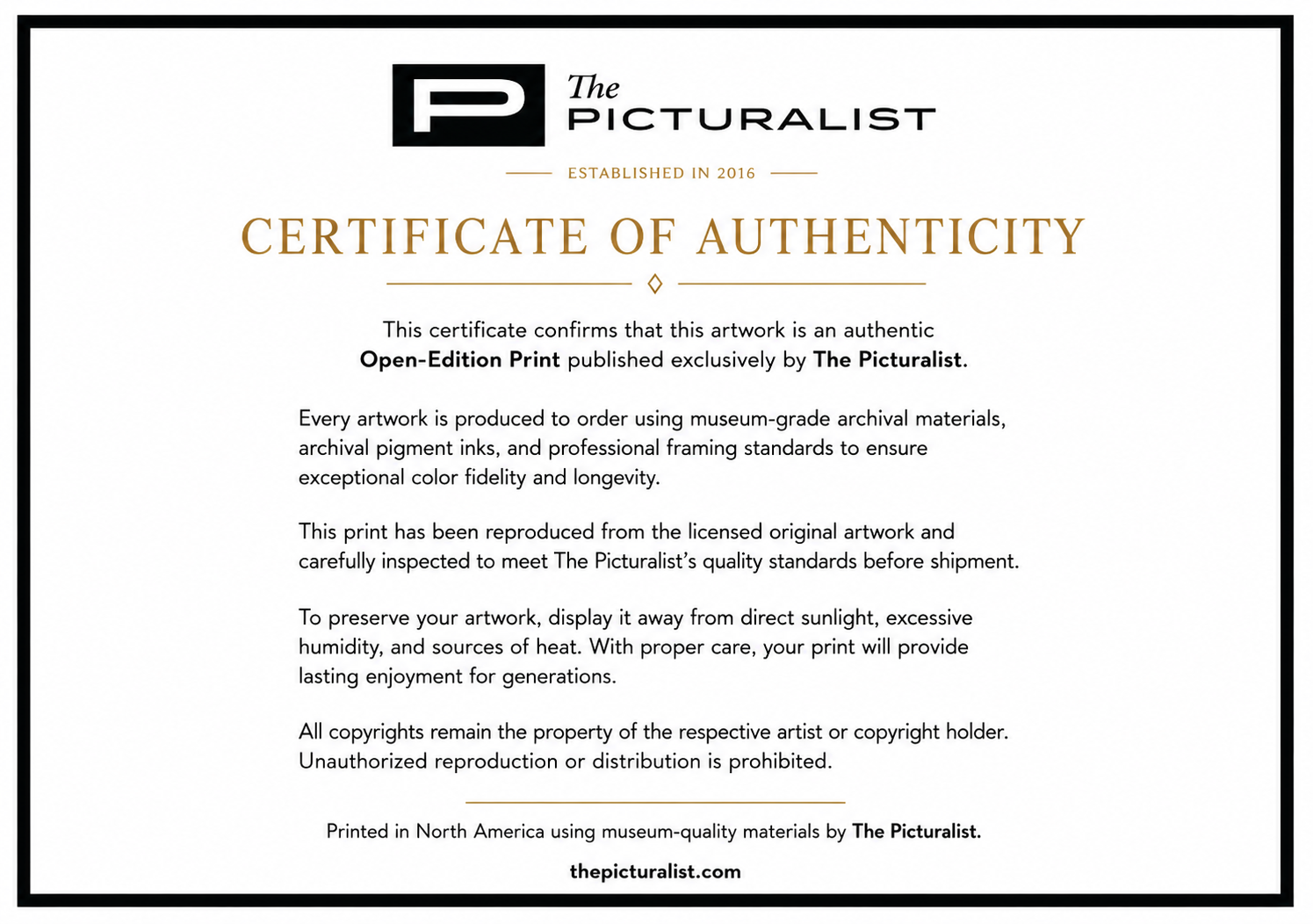 The Picturalist Open Edition Certificate of Authenticity for Ordinary Conscious State