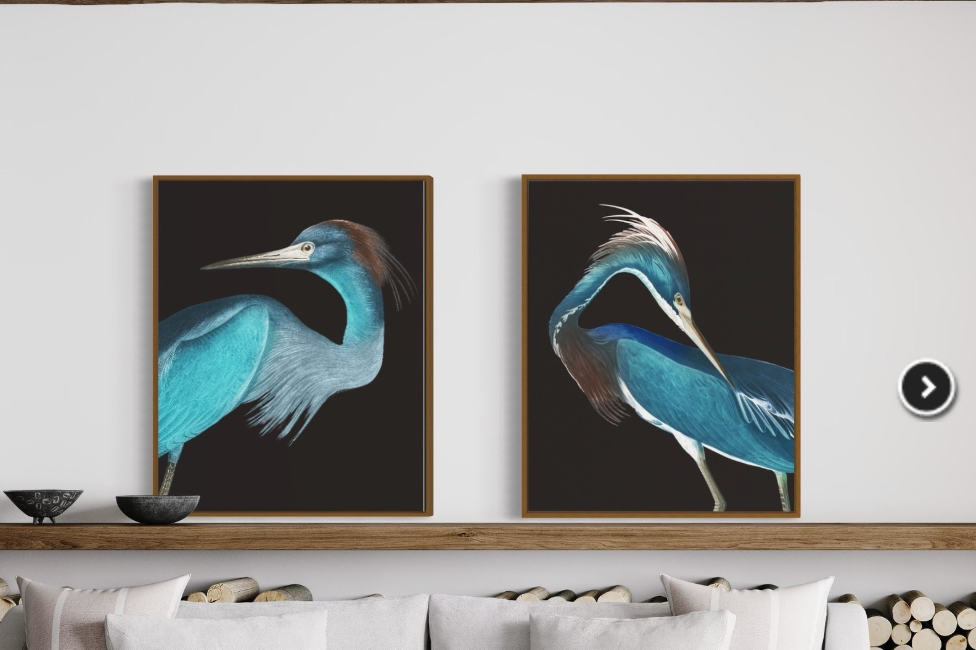 Two framed paintings of blue birds on a wall above a sofa.