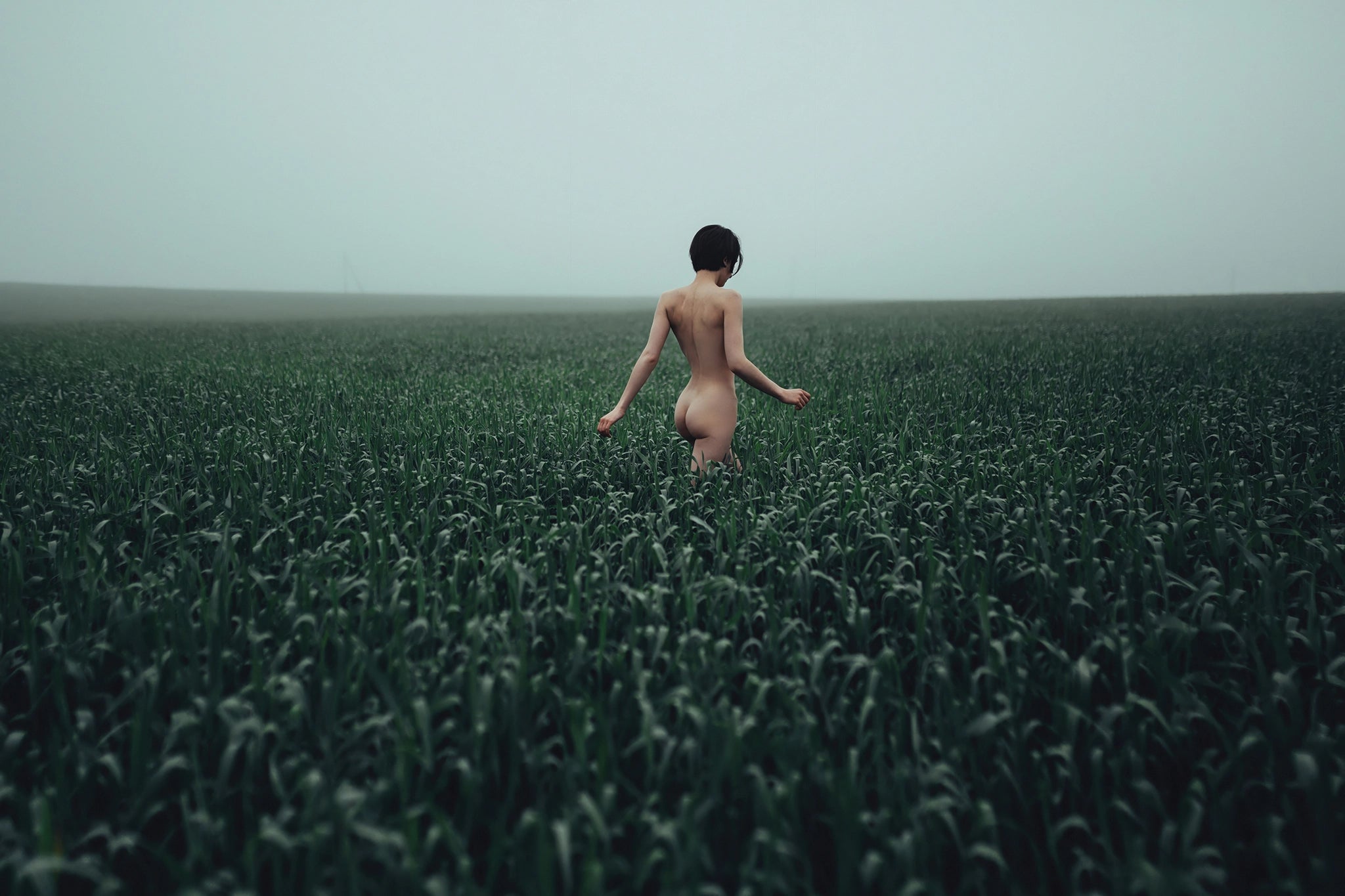 Walking in a Meadow by Igor Ustynsky, contemporary fine-art photograph of a solitary figure in a misty green field, licensed through Getty Images and custom framed by The Picturalist, ideal for luxury interiors in the USA and Canada.