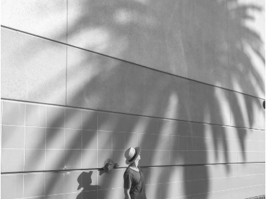 Person standing against a wall with palm leaf shadows