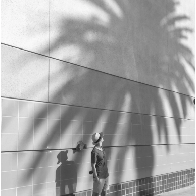 Person standing against a wall with palm leaf shadows