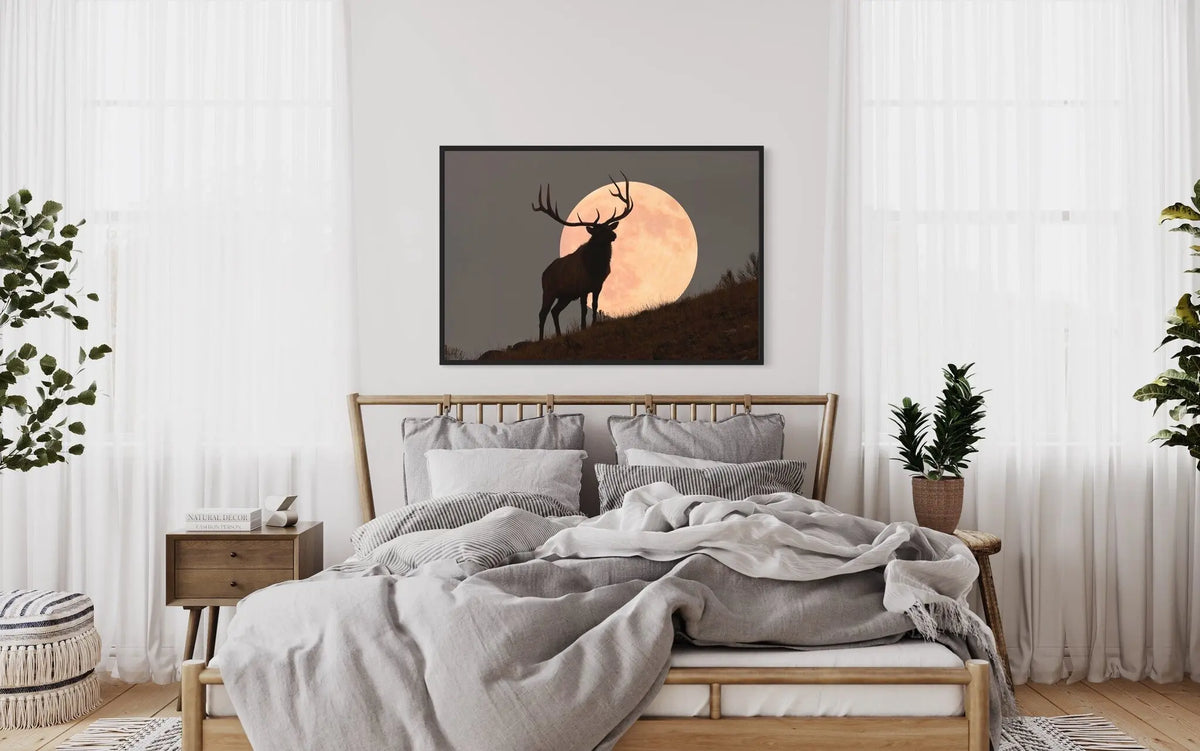 Bull Elk Against Full Moon by Mark Miller featured in an elegant interior space