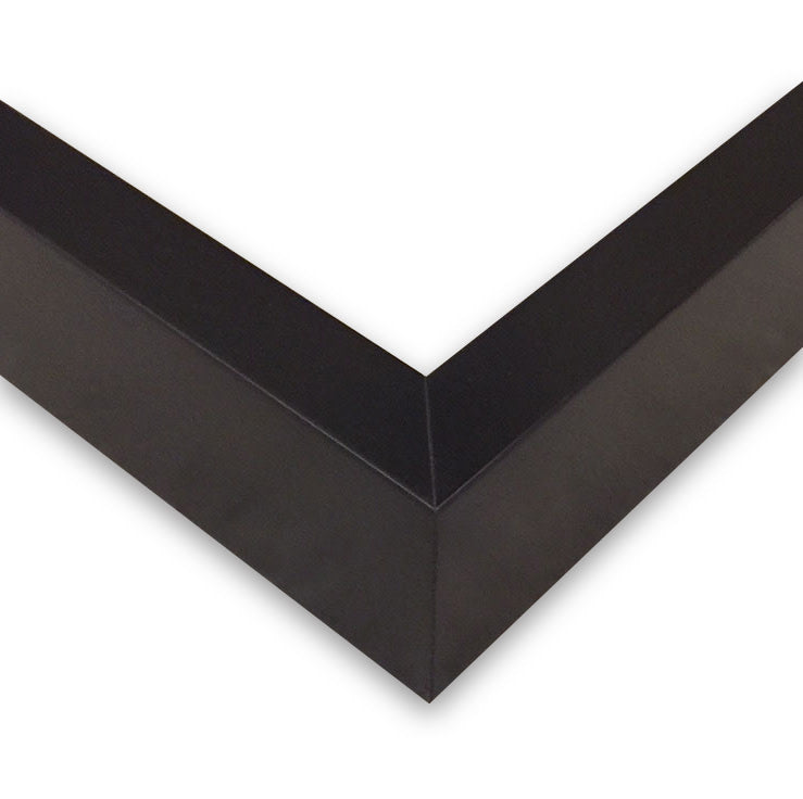 _black_matte_frame_ThePicturalist