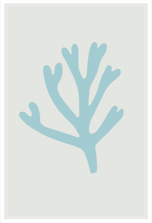 Blue Bay Marina Coral